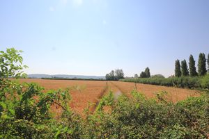 View to Chiltern Hills- click for photo gallery